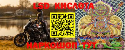 прущие грибы Кинель