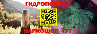 прущие грибы Кинель