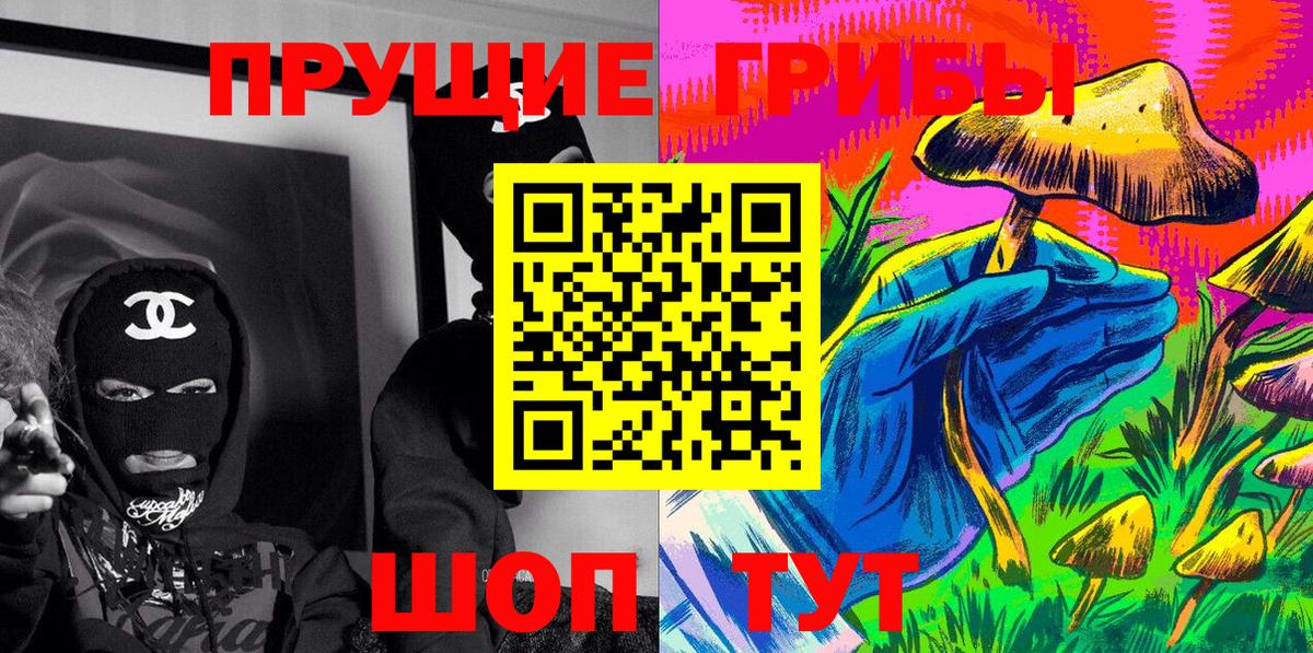 Псилоцибиновые грибы Cubensis  Вход с VPN  Ивантеевка 